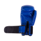Перчатки боксерские Panther BGP-2098, 10 oz, синий